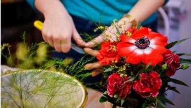 Ziedu bizness: īss ienesīgu ideju pārskats Kā vislabāk stādīt ziedus pie tirdzniecības centriem