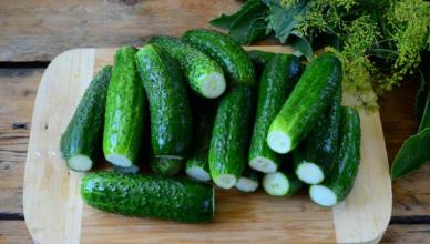 Леко осолени краставици: три бързи рецепти и трикове за готвене