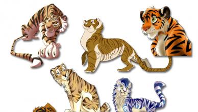 Generelt og kjærlighet horoskop: Tiger mann Menn år av tigeren