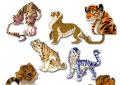 Generelt og kjærlighet horoskop: Tiger mann Menn år av tigeren